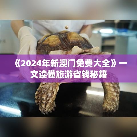 《2024年新澳门免费大全》一文读懂旅游省钱秘籍