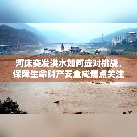 河床突发洪水如何应对挑战,保障生命财产安全成焦点关注