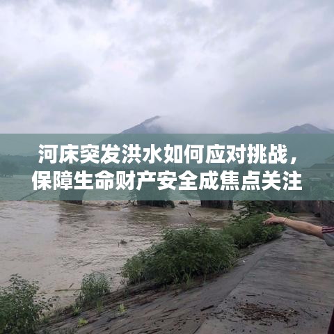 河床突发洪水如何应对挑战,保障生命财产安全成焦点关注