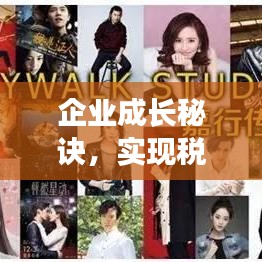 企业成长秘诀，实现税后净利润持续增长之路