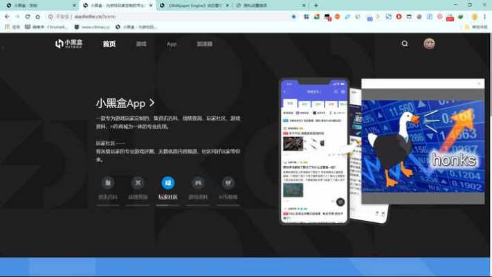 desktop goose官方下载,实地评估解析数据&AR版_v6.534