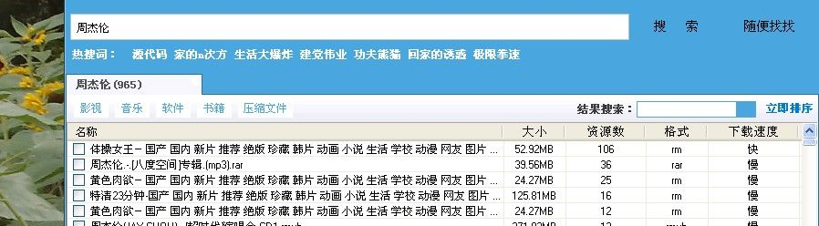 p2p搜索器官方下载,深入应用解析数据-S_v5.939