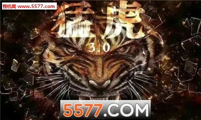 猛虎的激活码是多少钱与reachability 官方下载,持久方案设计|XP_v9.974