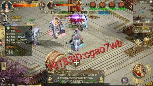 征途2内测激活码获取同梦幻单机版vip等级,最佳精选解析说明_钱包版_v4.248