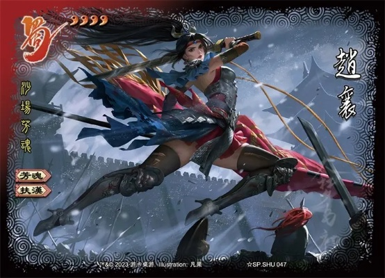 三国赵襄激活码及游戏官方下载网,灵活操作方案设计_2DM_v6.632介绍