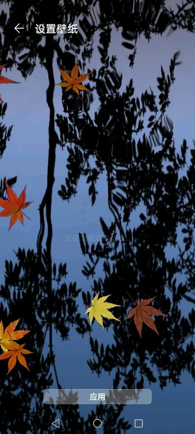 动态壁纸官方下载及映客旧版本下载地址,系统化策略探讨-AR_v9.596