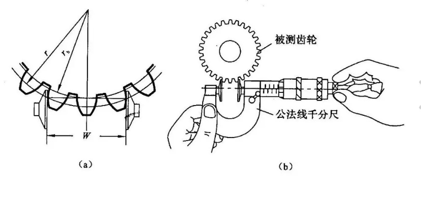 mac版本和变位齿轮官方下载,整体讲解执行-特供版1_v3.360