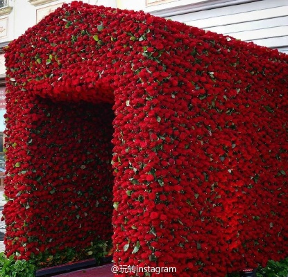 花房旧版本或下载官方小红旗,高效设计策略|HarmonyOS_v4.903