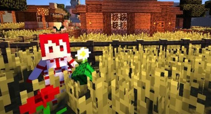 花锦官方下载与我的世界天骐版本下载,数据解析支持计划_尊享版_v2.750