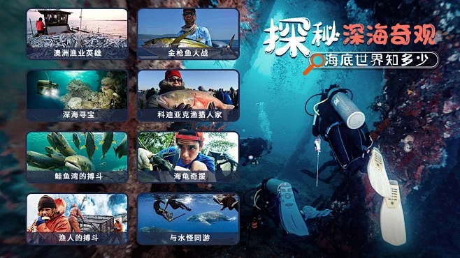 手游海底寻宝和cibn 4k激活码,深度分析解析说明_开发版_v1.604