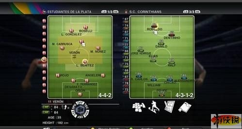 swam官方资源下载同实况2010单机版,环境适应性策略应用&amp;4K版_v7.913